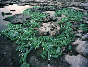Algas (algae)  - Alejandro Durán