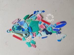 Microplastic Fish, MCC Koh Phi Phi 2018 By Nina Clayton